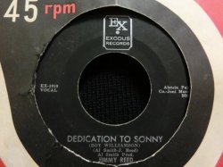 画像1: SONNY BOY WILLIAMSONブルースカバー★JIMMY REED-『DEDICATION TO SONNY』