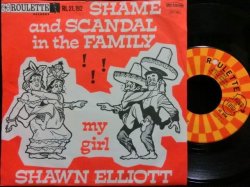 画像1: 米国産スカ★SHAWN ELLIOTT-『SHAME AND SCANDAL IN THE FAMILY』