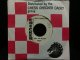 The Vibrations変名/45オンリー★THE NEPTUNES-『SHE'LL UNDERSTAND』