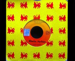 画像1: ラヴァーズ・レゲエ/US原盤★SHEILA HYLTON-『DON'T ASK MY NEIGHBOURS』