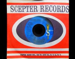 画像1: Blue Magic甘茶/ レゲエカバー★THE BLUES BUSTERS-『Just don't want to be lonely』