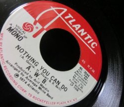画像2: Grammatikネタ/希少Mono★AVERAGE WHITE BAND-『NOTHING YOU CAN DO』