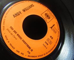 画像4: 『君の瞳に恋してる』レアカバー/France原盤★ANDY WILLIAMS-『CAN'T TAKE MY EYES OFF YOU』