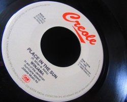 画像3: Stevie Wonder レゲエカバー/EU原盤★『A PLACE IN THE SUN』