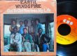 画像1: Beatlesカバー/EU原盤★EARTH, WIND & FIRE-『Got to Get You into My Life』 (1)