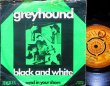 画像1: Trojanレゲエ/EU原盤★GREYHOUND-『BLACK AND WHITE』 (1)