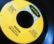 画像2: 山下達郎「Brutus Songbook」掲載★THE CADILLACS-『SPEEDOO』 (2)