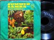 画像2: Marcos Valeカバー/ドイツ原盤★WALTER WANDERLEY-『SUMMER SAMBA』 (2)