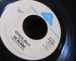 画像2: BOB MARLEYレゲエ名曲カバー★DE BRANC-『GUAVA JELLY』 (2)