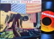 画像1: Slum Villageネタ/US原盤★EARTH, WIND & FIRE-『SYSTEM OF SURVIVAL』 (1)