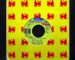 画像1: Bob Marleyカバー/Jamaica原盤★BUJU BANTON/LEROY SIBBLES-『WON'T FLY IN JAH FACE』 (1)