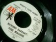 画像3: 40sジャズ名曲/CTIボッサカバー★RICHARD BARBARY SOUL MACHINE-『NATURE BOY』 (3)